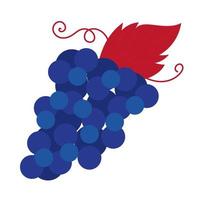 grapes fruit hand draw style icon vector