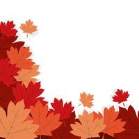 Autumn maple leaves design vector