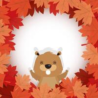 Canadian beaver inside autumn leaves for happy canada day vector design