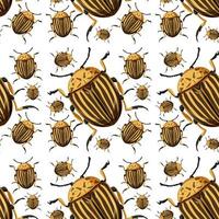 Beetle insect seamless background vector