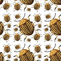 Beetle insect seamless background vector