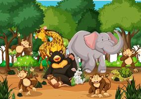 Many different animals in the forest scene vector