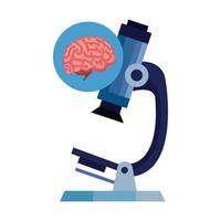 microscope with brain human isolated icon vector