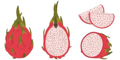 Whole and sliced pitaya. vector