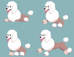 caniche en diferentes poses. vector