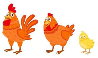 Chicken family side view. vector