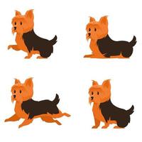 yorkshire terrier en diferentes poses. vector