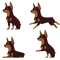 doberman en diferentes poses. vector