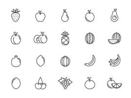 minimal fruit line icon set vector