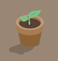 Plant in a pot Isometric style vector
