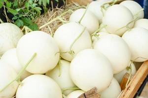 Cantaloupes on wooden crate photo