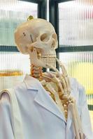 esqueleto o cabeza de cráneo con bata blanca de laboratorio científico. material educativo foto