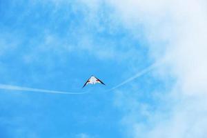 White and black kite photo