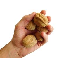 Nuts in hand on white background photo