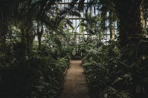 Inside a green house photo