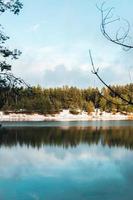 Lake view with trees photo