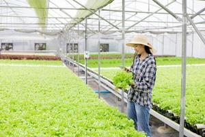 Woman in greenhouse photo