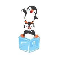 penguins playing with ice cube vector