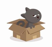 gato de dibujos animados en una caja de cartón vector
