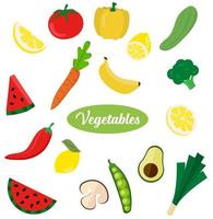 Vegetables on white background vector