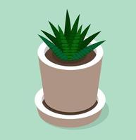 Plant In Flowerpot Isometric style vector