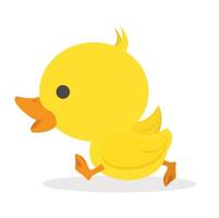 Cute little yellow duck walking vector