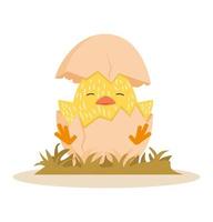 Cute chick in egg Cartoon vector