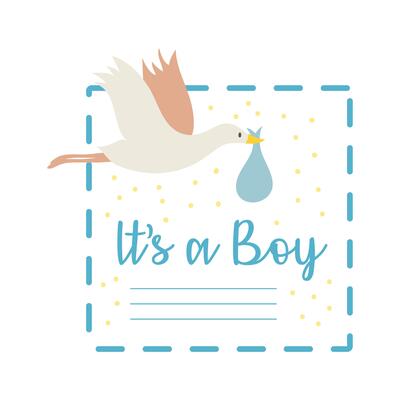 baby shower card with stork and lettering it's a boy, hand draw style