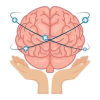 hands lifting human brain with plus symbols vector