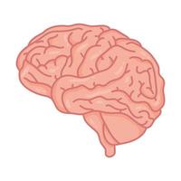 human brain, mental health care symbol vector
