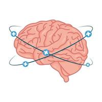 human brain with plus symbols vector