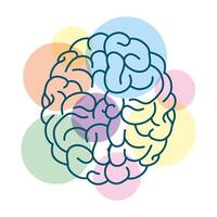 human brain with colored circles vector