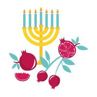 menorah with candles and fruit vector