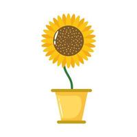 sunflower plant in ceramic pot flat style icon vector