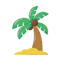 tropical palm tree flat style icon vector