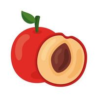 fresh peach fruit healthy food icon vector