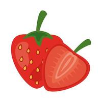 strawberry fresh fruit healthy food icon vector