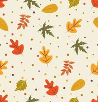 Autumn leaf seamless pattern vector