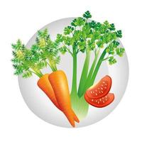 carrot celery and tomato vector design