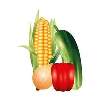 cucumber pepper corn and onion vegetable vector design