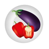 Isolated eggplant and pepper vector design