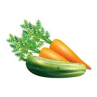 diseño de vector vegetal de zanahoria y pepino