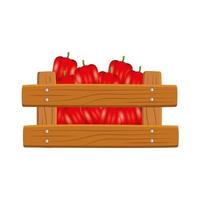 Isolated peppers inside box vector design