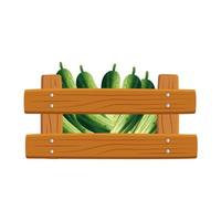 Isolated cucumbers inside box vector design