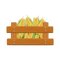 Isolated corns inside box vector design