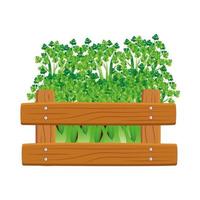 Isolated celery inside box vector design