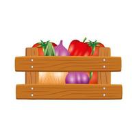 Isolated vegetables inside box vector design