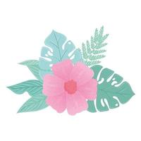 flower pink color pastel with branch and leaves, nature concept vector
