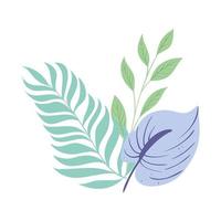 tropical branches with leaves pastel color on white background vector