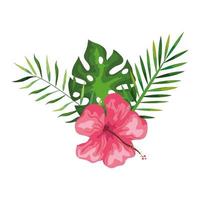 hibiscus beautiful pink color with branches and leaves, tropical nature, spring summer botanical vector